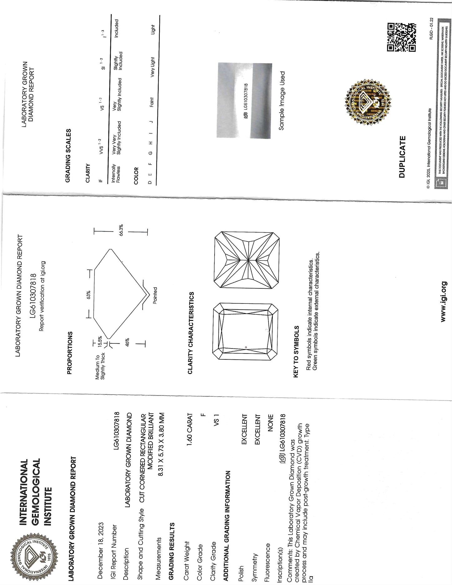 Diamond certification report with diamond image and IGI logo