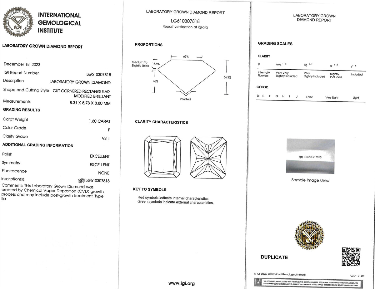 Diamond certification report with diamond image and IGI logo