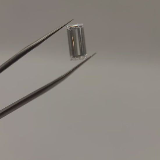 Video of lab grown baugette held in tweezers