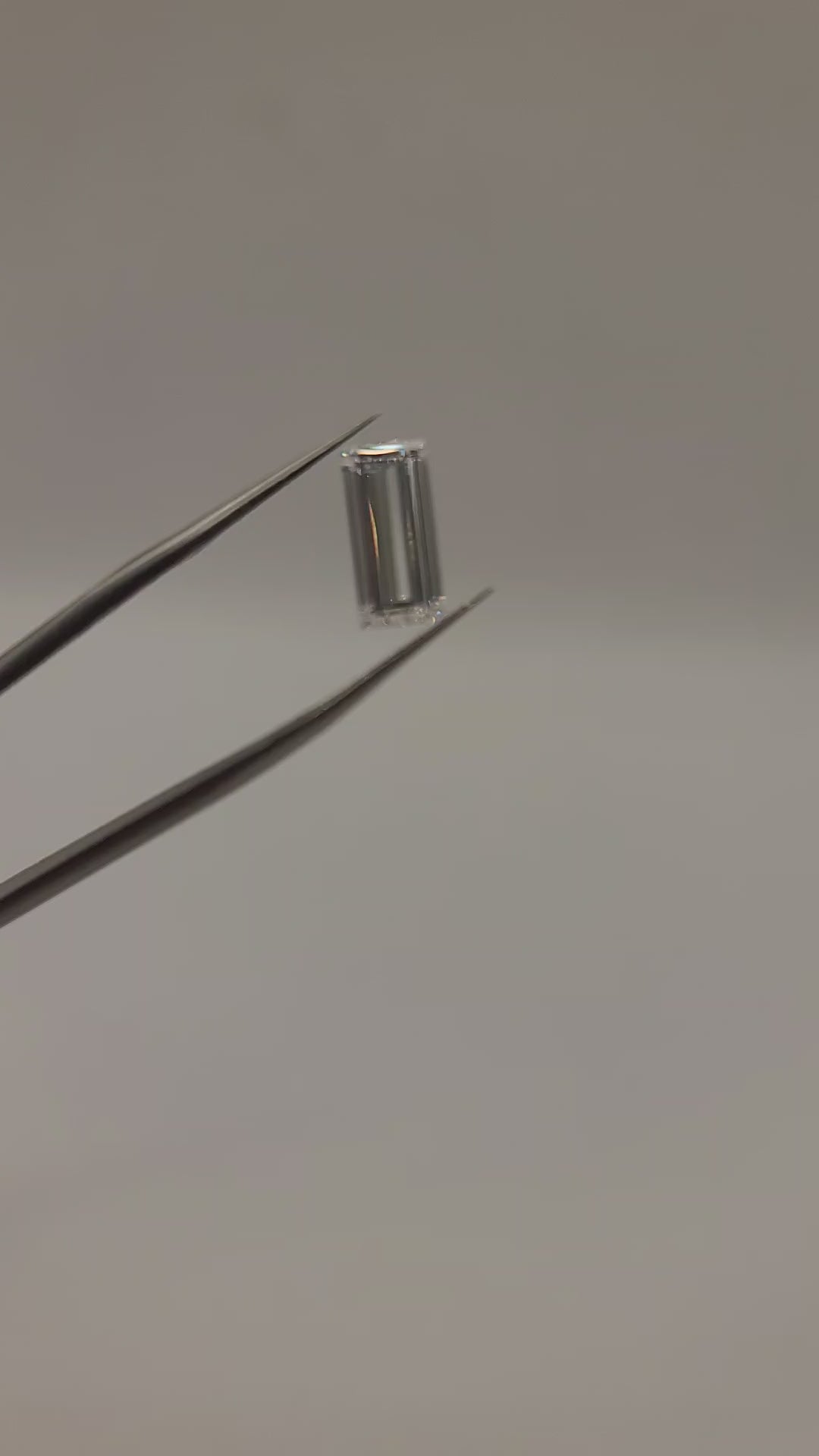 Video of lab grown baugette held in tweezers